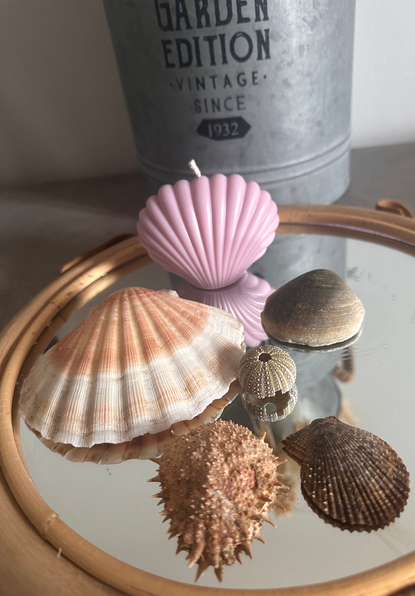 Bougie coquillage